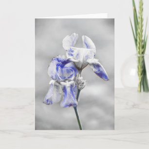 Tarjeta de arte para retrato de flores de iris gri