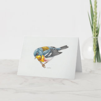 Tarjeta de arte Parula Warbler del Norte