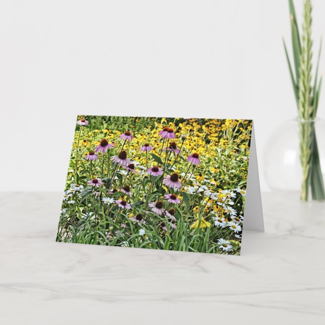 Tarjeta de arte Purple Coneflowers and Daisies (Anverso)