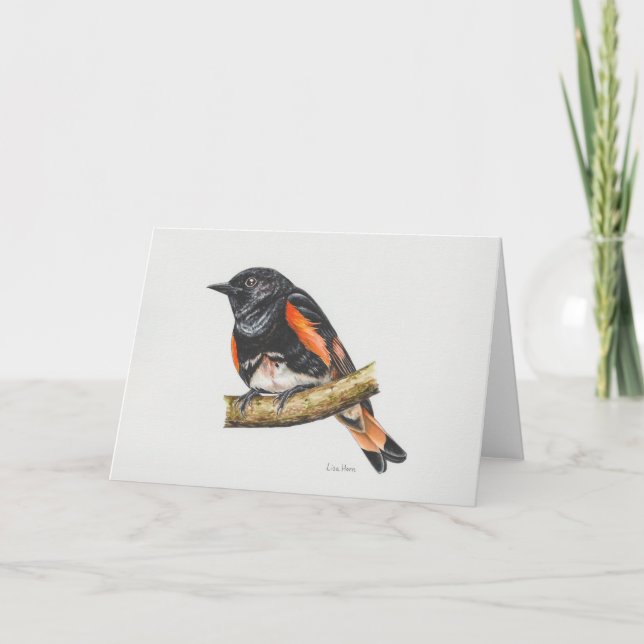 Tarjeta de arte Redstart Americana Warbler (Anverso)