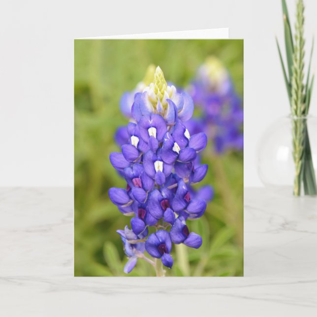 Tarjeta de arte retrato de cierre de flor de Blueb (Anverso)