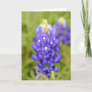 Tarjeta de arte retrato de cierre de flor de Blueb