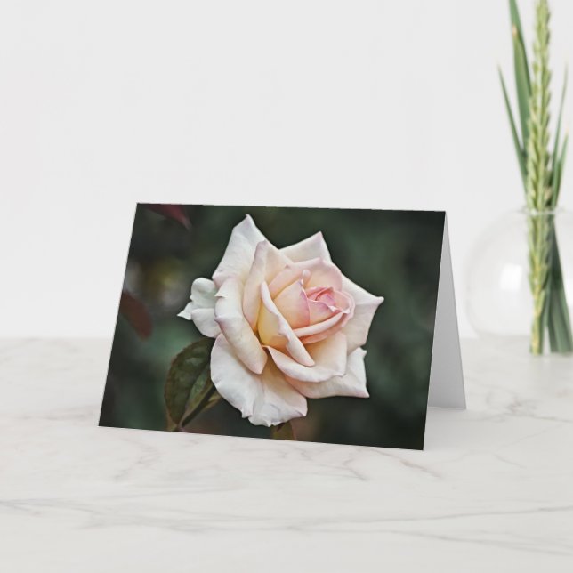 Tarjeta de arte rosa rosa de rubor (Anverso)