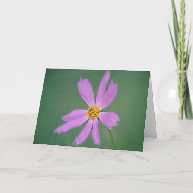 Tarjeta de arte suave Cosmos Flower (Anverso)