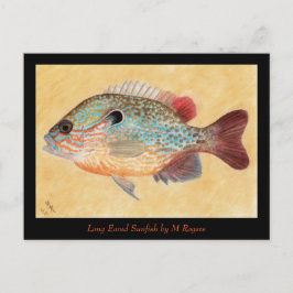 Tarjeta de arte Sunfish