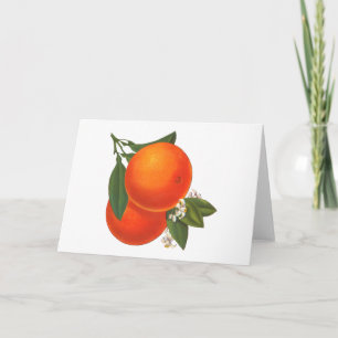 Tarjeta de arte Vintage Crate Blank para naranjas