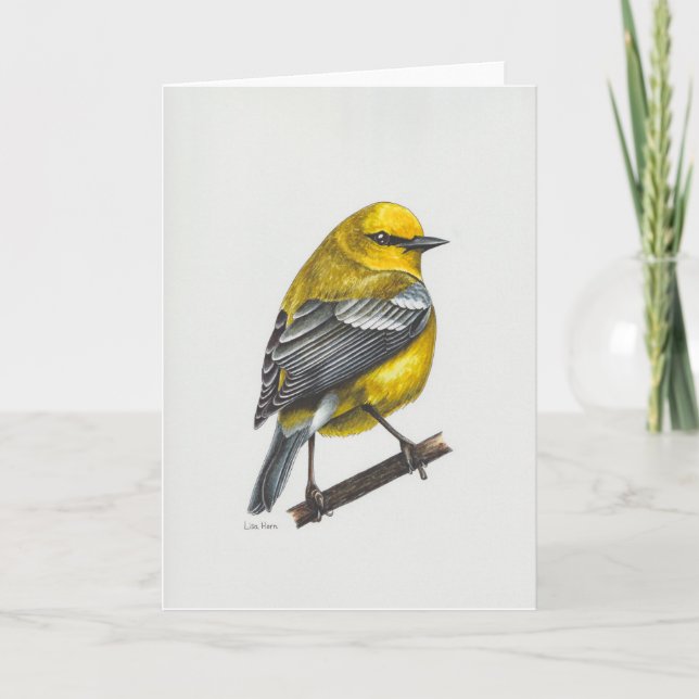 Tarjeta de arte Warbler de ala azul (Anverso)