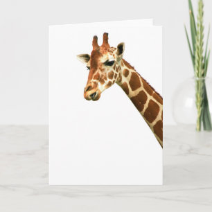 Tarjeta De ascendente aquí