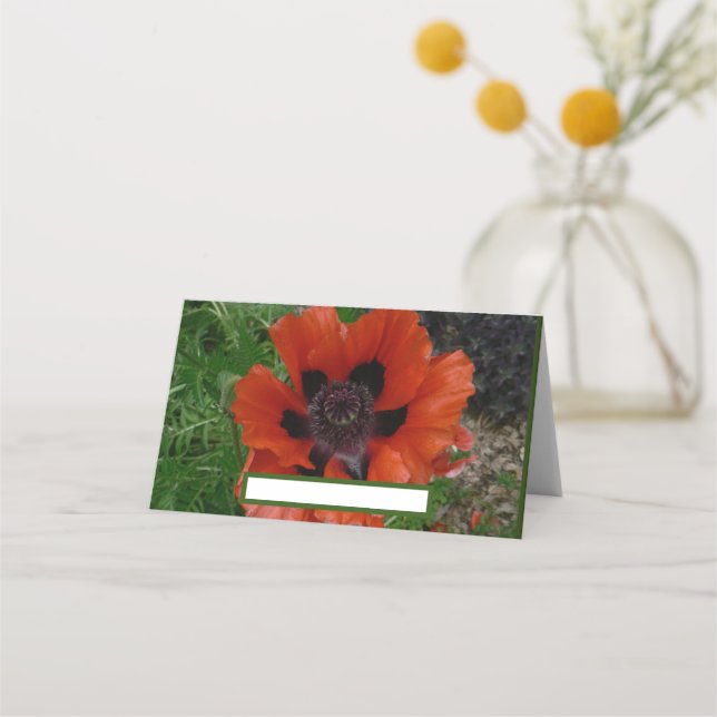 Tarjeta De Asiento Abrema oriental (Anverso)