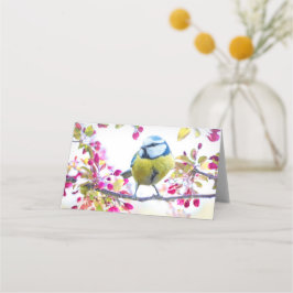 Tarjeta De Asiento Ave azul y amarillo bonito en una foto de una sucu