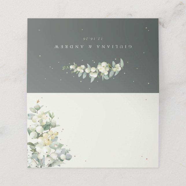 Tarjeta De Asiento Boda de nieve verde/crema + eucalipto (Exterior desplegado)