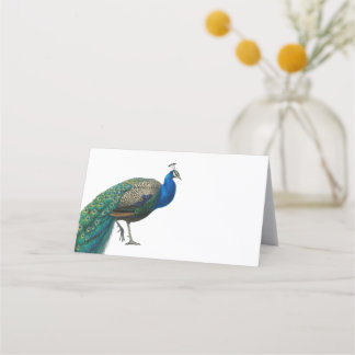 Tarjeta De Asiento Boda de pavo real