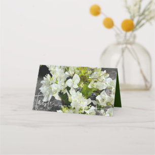 Tarjeta De Asiento buganvillas blancas o con caracol blanco como niev