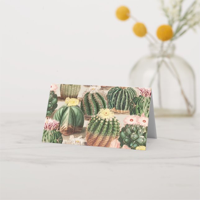 Tarjeta De Asiento Cactus Ilustracion Place Card (Anverso)
