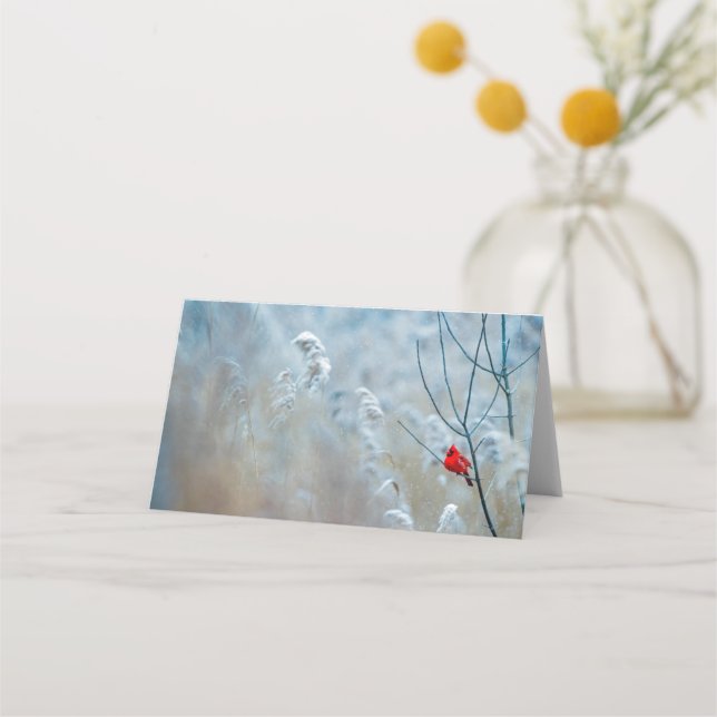 Tarjeta De Asiento Cardenal rojo en Navidades de fotografía de natura (Anverso)