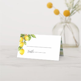 Tarjeta De Asiento Citrus Orchard Boda