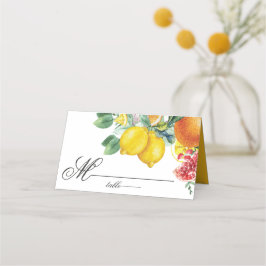 Tarjeta De Asiento Citrus Watercolor Boda Botánico