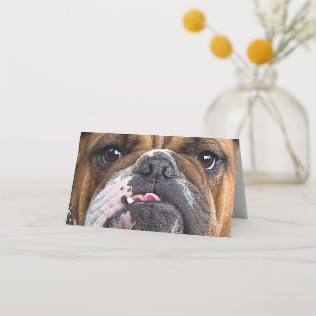 Tarjeta De Asiento Cojín decorativo de Bulldog inglés (Anverso)