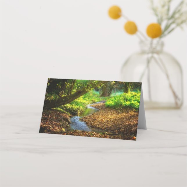 Tarjeta De Asiento Creek forestal Hermoso paisaje natural Foto (Anverso)