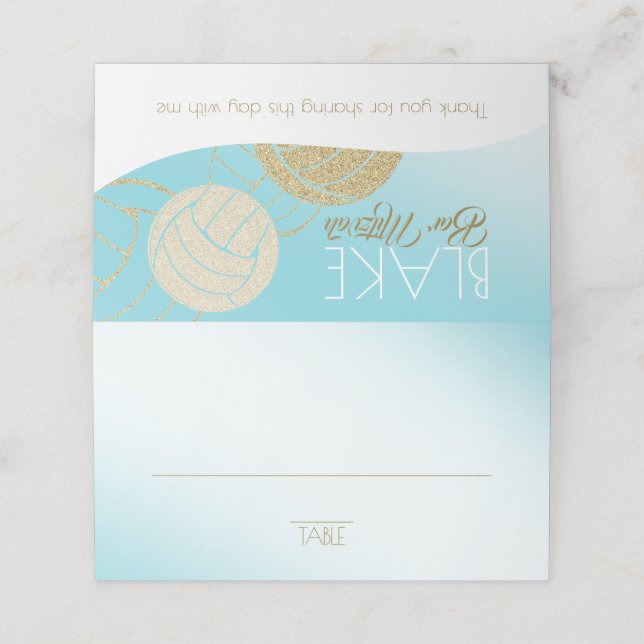 Tarjeta de asiento de voleibol (Exterior desplegado)