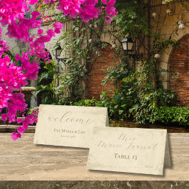 Tarjeta De Asiento Elegante Borde gris sin blanco personalizado