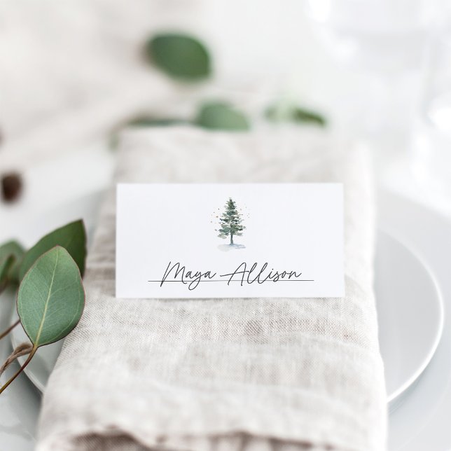 Tarjeta De Asiento Fiesta de feriado de Navidades de invierno Splendo (Subido por el creador)