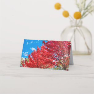 Tarjeta De Asiento Flagrantes hojas de árboles rojos en otoño