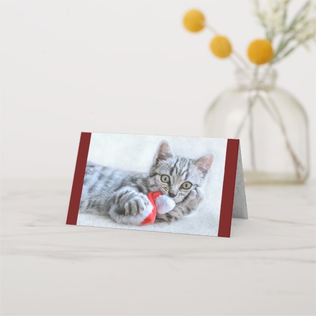 Tarjeta De Asiento Gato de grisáceo lindo con Navidades Gorras navida (Anverso)