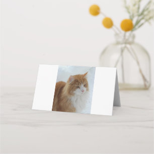 Tarjeta De Asiento Gato_del_bosque_noruego