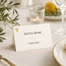Tarjeta De Asiento Lujo italiano mediterráneo costero plegado
