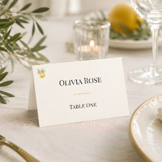 Tarjeta De Asiento Lujo italiano mediterráneo costero plegado