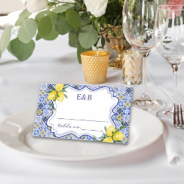 Tarjeta De Asiento Mediterranean Mosaic Wedding with Citrus Touches