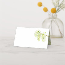 Nombre de la acuarela de las gafas de álamos verde