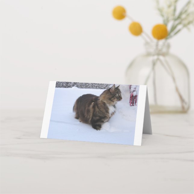 Tarjeta De Asiento norwegian forest cat in snow (Anverso)