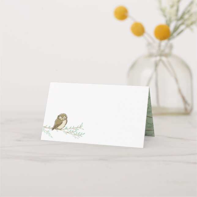 Tarjeta De Asiento Owl Woodland Animal Baby Shower (Anverso)