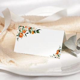 Tarjeta De Asiento Pequeños naranjas cortos