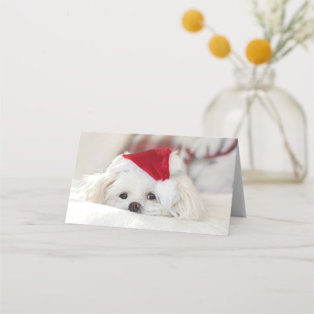 Tarjeta De Asiento Perro blanco lindo en un Gorra de Navidades rojos (Anverso)