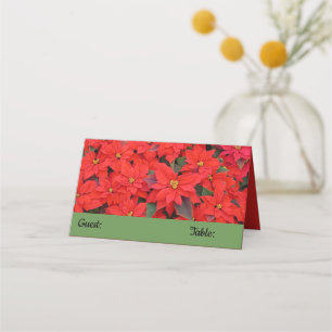 Tarjeta De Asiento Poinsettias rojas Navidad la foto floral navideña