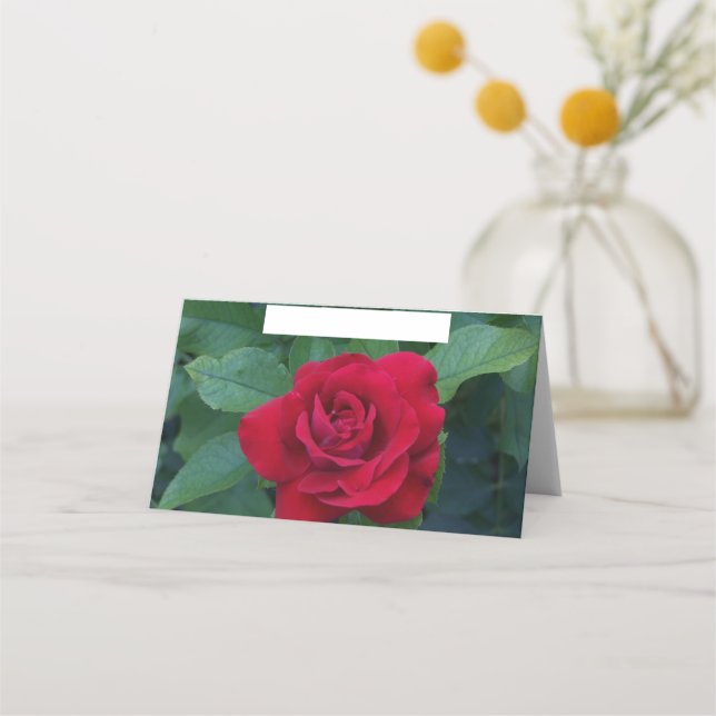 Tarjeta De Asiento Rosa Roja de Cerca (Anverso)