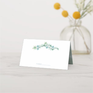 Tarjeta De Asiento Suculento color de agua Jardín elegante Boda de ve