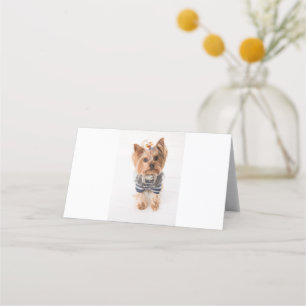 Tarjeta De Asiento suéter yorkie