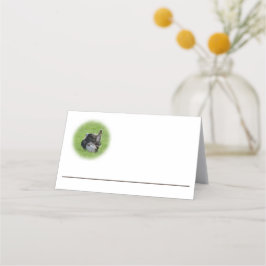 Tarjeta De Asiento Tom Turquía