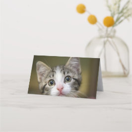 Tarjeta De Asiento Un gatito lindo con ojos verdes
