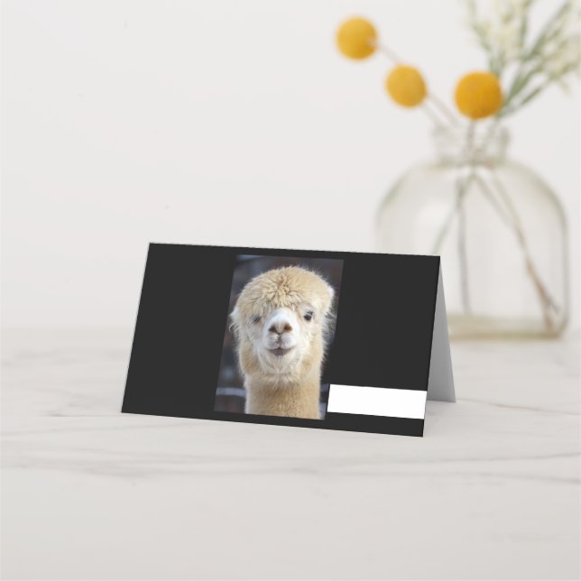 Tarjeta De Asiento Una cara adorable y esponjosa de una alpaca (Anverso)