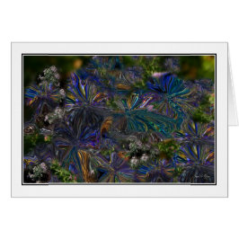 Tarjeta de Asters Salvajes