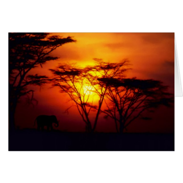 Tarjeta de Atardecer Africano (Anverso (Horizontal))