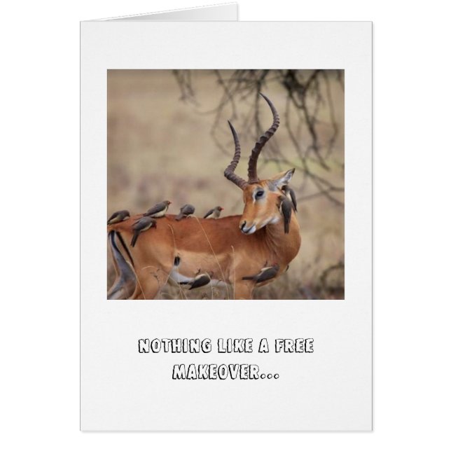 Tarjeta de atención (Frente)