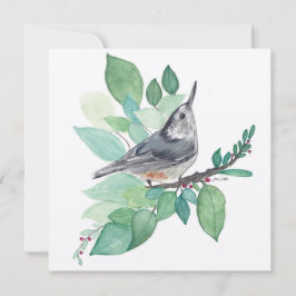 Tarjeta de ave blanca de nuthatch