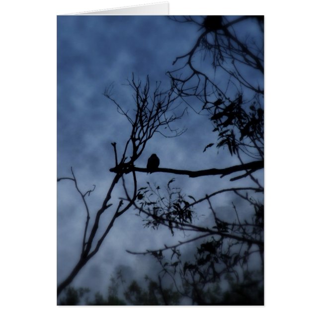 Tarjeta de Ave de niebla matutina en las ramas (Frente)
