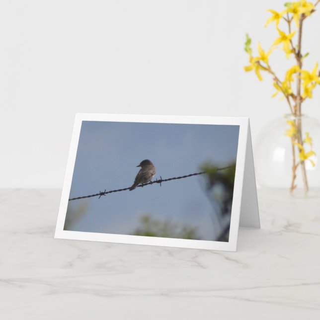 Tarjeta de ave Flycatcher localizada (flor amarilla)